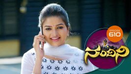 Nandini S01E610 20th March 2019 Full Episode