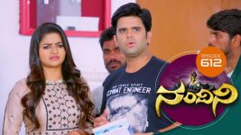 Nandini S01E612 22nd March 2019 Full Episode