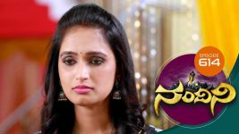 Nandini S01E614 26th March 2019 Full Episode