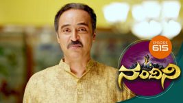 Nandini S01E615 27th March 2019 Full Episode