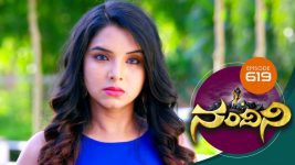 Nandini S01E619 2nd April 2019 Full Episode