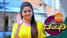 Nandini S01E620 3rd April 2019 Full Episode