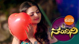 Nandini S01E622 5th April 2019 Full Episode