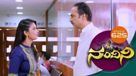 Nandini S01E624 9th April 2019 Full Episode