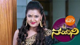 Nandini S01E626 11th April 2019 Full Episode