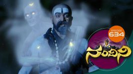 Nandini S01E634 22nd April 2019 Full Episode