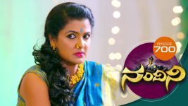 Nandini S01E700 23rd July 2019 Full Episode