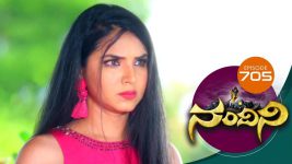 Nandini S01E705 30th July 2019 Full Episode