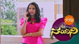 Nandini S01E772 19th October 2019 Full Episode