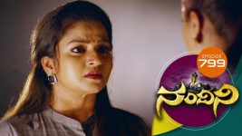 Nandini S01E799 20th November 2019 Full Episode