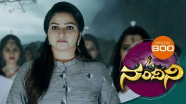 Nandini S01E800 21st November 2019 Full Episode