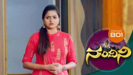 Nandini S01E801 22nd November 2019 Full Episode