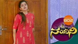 Nandini S01E802 23rd November 2019 Full Episode