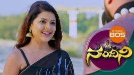 Nandini S01E805 27th November 2019 Full Episode