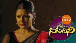 Nandini S01E807 29th November 2019 Full Episode