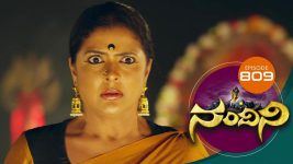 Nandini S01E809 2nd December 2019 Full Episode