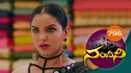 Nandini S01E827 23rd December 2019 Full Episode