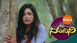 Nandini S01E834 31st December 2019 Full Episode