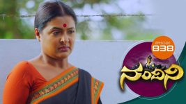 Nandini S01E838 4th January 2020 Full Episode