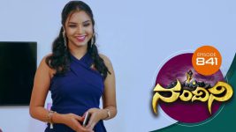 Nandini S01E841 8th January 2020 Full Episode