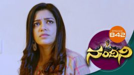 Nandini S01E842 9th January 2020 Full Episode