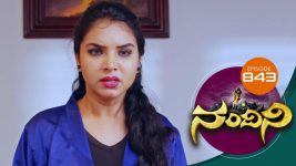 Nandini S01E843 10th January 2020 Full Episode