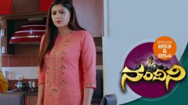 Nandini S01E852 21st January 2020 Full Episode