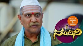 Nandini S01E853 22nd January 2020 Full Episode