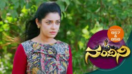 Nandini S01E854 23rd January 2020 Full Episode