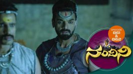 Nandini S01E856 25th January 2020 Full Episode