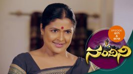 Nandini S01E861 31st January 2020 Full Episode