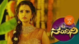 Nandini S01E863 3rd February 2020 Full Episode