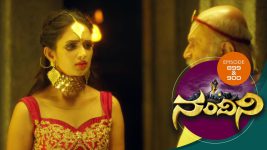 Nandini S01E875 17th February 2020 Full Episode