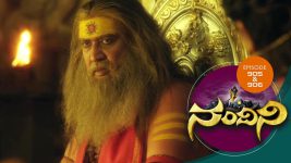 Nandini S01E878 20th February 2020 Full Episode