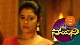 Nandini S01E879 21st February 2020 Full Episode