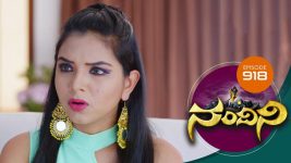 Nandini S01E918 3rd March 2020 Full Episode