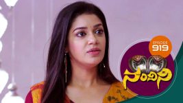 Nandini S01E919 4th March 2020 Full Episode