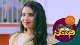 Nandini S01E921 6th March 2020 Full Episode