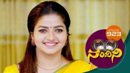 Nandini S01E923 9th March 2020 Full Episode