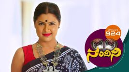 Nandini S01E924 10th March 2020 Full Episode