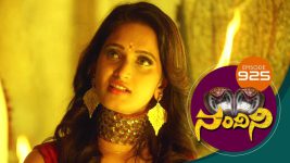 Nandini S01E925 11th March 2020 Full Episode