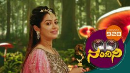 Nandini S01E928 14th March 2020 Full Episode