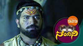 Nandini S01E929 16th March 2020 Full Episode