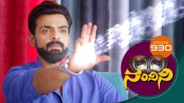 Nandini S01E930 17th March 2020 Full Episode