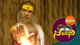 Nandini S01E934 23rd March 2020 Full Episode