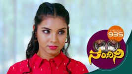 Nandini S01E935 24th March 2020 Full Episode