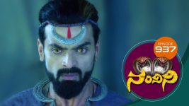 Nandini S01E937 27th March 2020 Full Episode