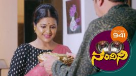 Nandini S01E941 8th June 2020 Full Episode