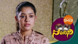 Nandini S01E943 15th June 2020 Full Episode