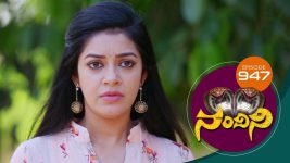 Nandini S01E947 15th June 2020 Full Episode